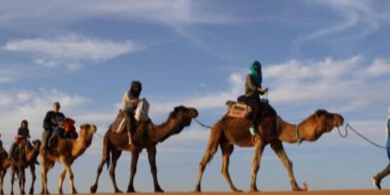 From Marrakech: Agafay Desert Horse ride with sunset - What’s Included and What to Consider