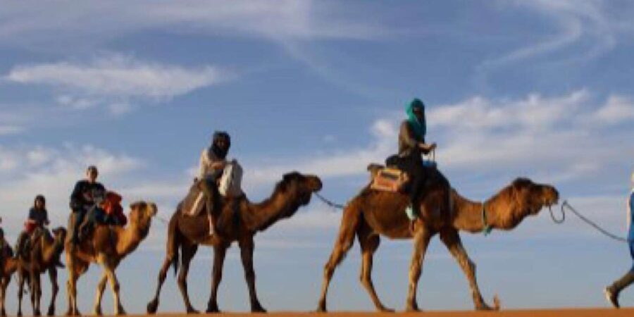 From Marrakech: Agafay Desert Horse ride with sunset - What’s Included and What to Consider