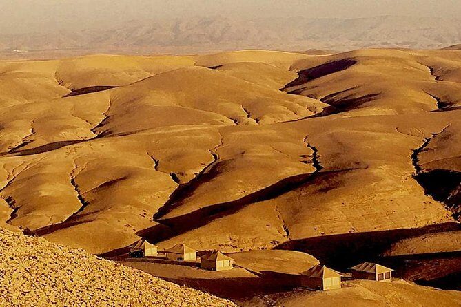 From Marrakech : Agafay Desert Quad Camel Ride and Dinner Show - Final Thoughts