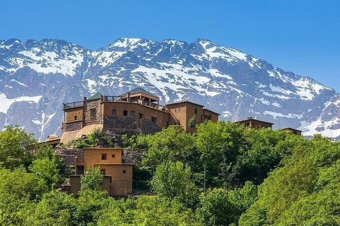 From Marrakech: Atlas Mountains and Agafay Desert Day Trip - What Travelers Say: Authenticity and Value