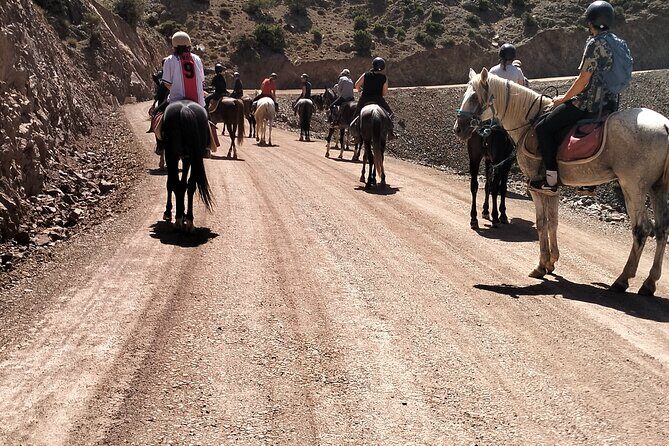 From Marrakech Day Hike to Tizi Mazaik Mountain 2400m - Who Will Love This Tour?