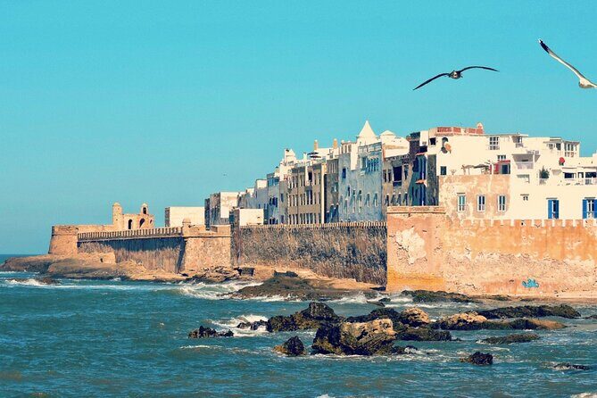 From Marrakech: Day Journey to Essaouira Mogador - Practical Tips for Future Travelers