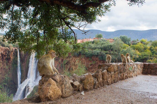 From Marrakech: Day trip to Ouzoud waterfalls and boat tour - Arriving at the Cascades dOuzoud