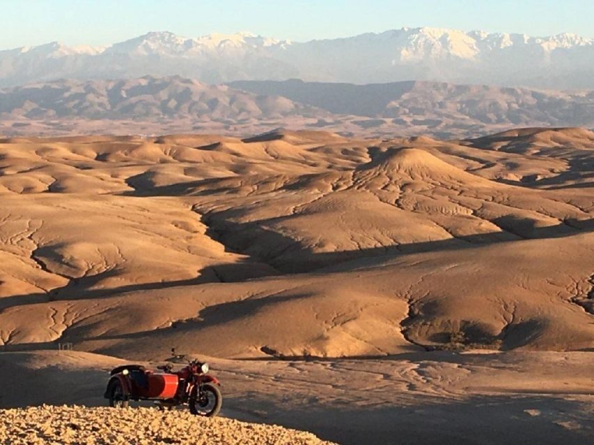 From Marrakech: Dinner show in Agafay Desert & Sunset Quad - What Travelers Are Saying