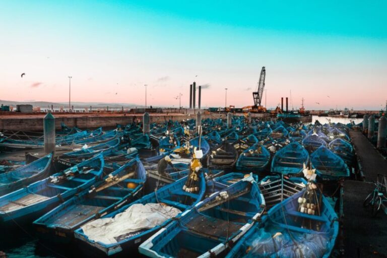 From Marrakech: Essaouira Day Trip with Hotel Pickup - The Practicalities: Transportation, Cost, and What’s Included