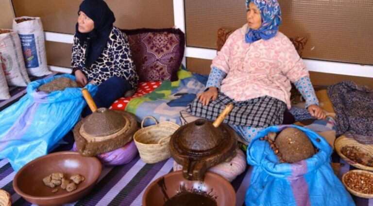 From Marrakech: Half-Day Tour to Atlas Mountains & Ourika - Who Will Love This Tour?