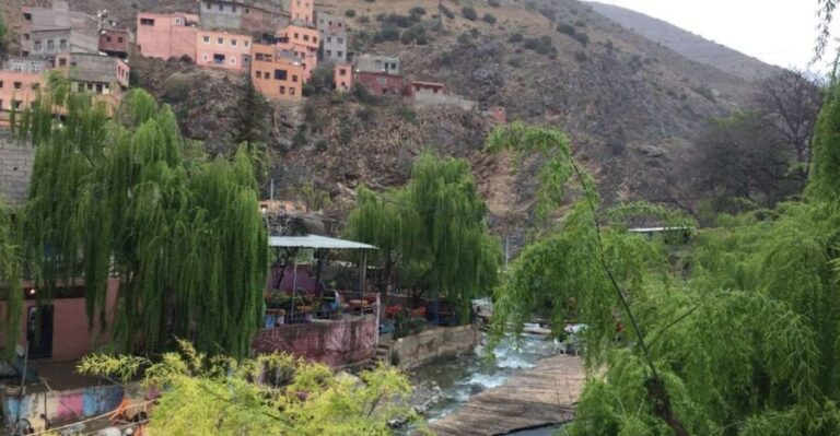From Marrakech: Ourika Valley Day Trip with Lunch - Visiting the Waterfalls and Local Culture