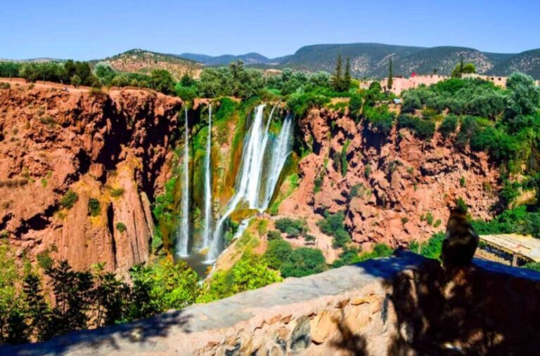 From Marrakech: Ouzoud Waterfalls Local Guided and Boat Ride - Transportation, Group Size, and Overall Value
