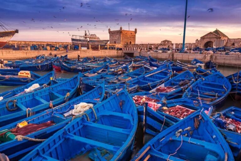 From Marrakech: Private 1-Day Trip to Essaouira Coastal City - Discovering the UNESCO Medina