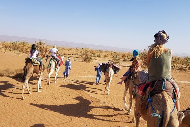 From Marrakech: Private Tour to Oasis and Trekking in the Desert of Erg Chigaga - The Sum Up: Who Will Love This Tour?
