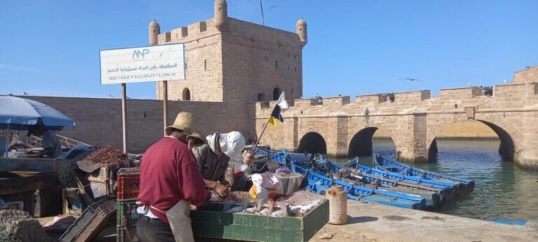 From Marrakech: Small Group To Essaouira & Medina Day Trip - Arrival and First Impressions of Essaouira