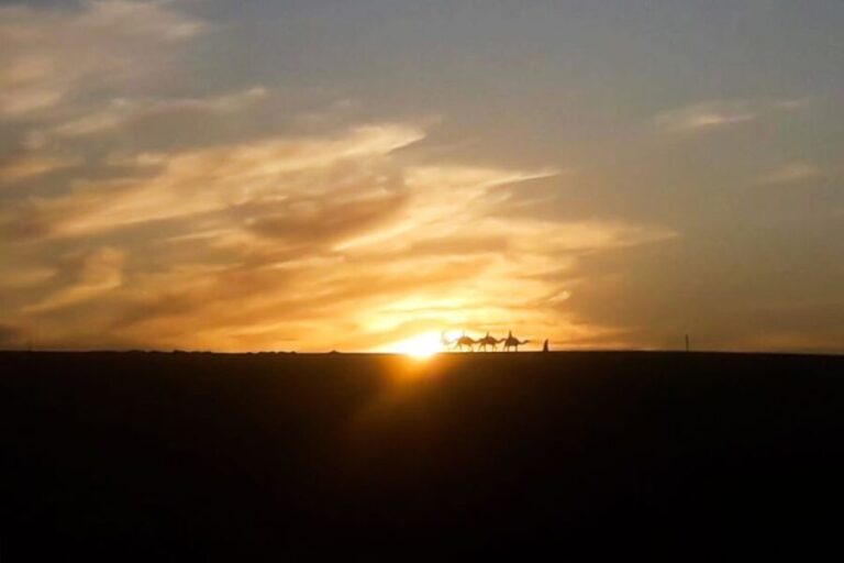 From Marrakech: Sunset Camel Ride in the Agafay Desert - Transportation and Timing