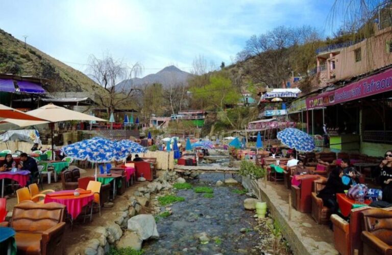From Marrakech : Valley Ourika Day Trip and Atlas Mountains - What to Expect from the Day