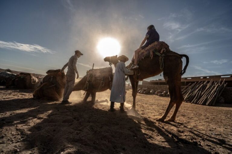 From Marrakech: VIP Agafay Desert & Oasis Camel Experience - The Start of the Camel Journey