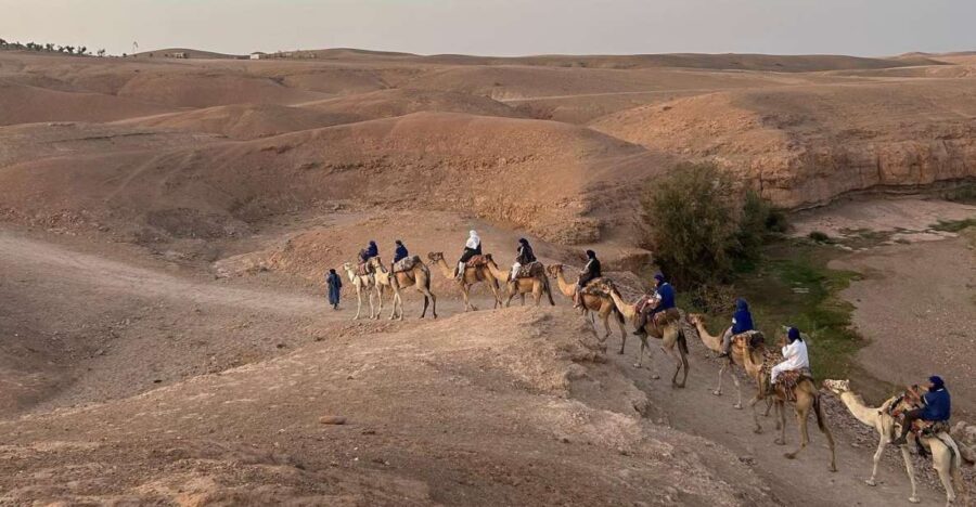 From Marrakesh: Agafay Desert Sunset, Camel Ride, and Dinne - Exploring the Itinerary in Detail