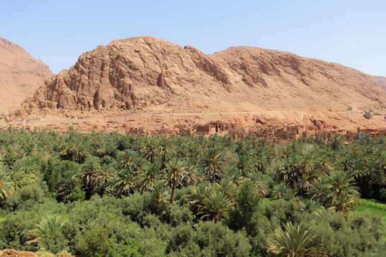 From Marrakesh: Atlas Mountains and Sahara Desert Car Tour - FAQ