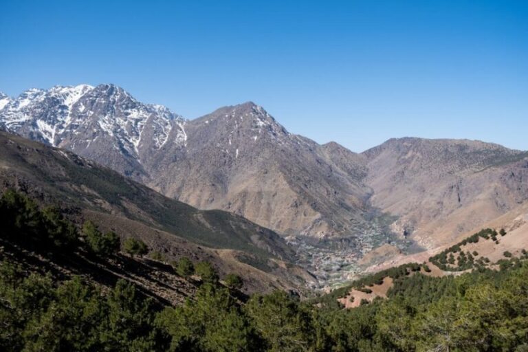 From Marrakesh: Atlas Mountains Talamrout Summit Day Hike - Why This Tour Offers Good Value