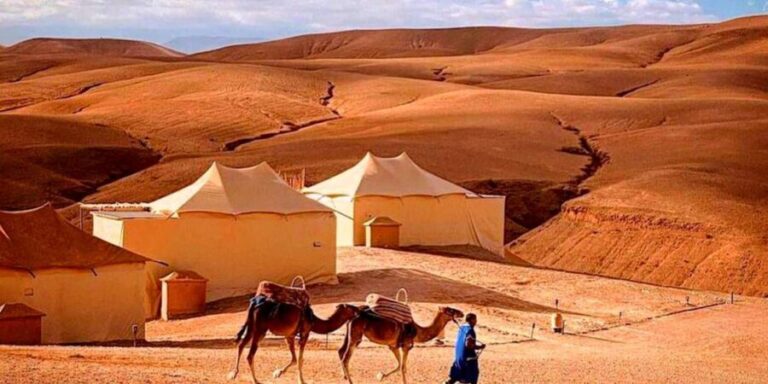 From Marrakesh: Dinner Agafay Desert Sunset, Stars And Show - A Closer Look at the Itinerary