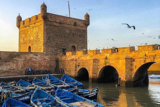 From Marrakesh: Full Private Day Tour To Essaouira Mogador - Transport and Group Size