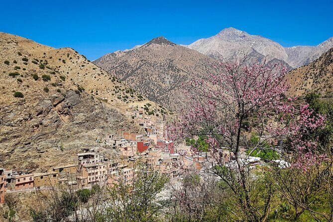 From Marrakesh: Ourika Valley and Atlas Mountains Private Tour - The Value of This Tour
