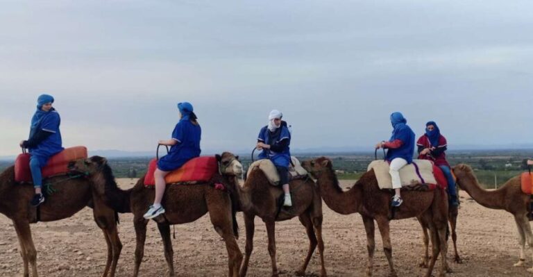 From Marrakesh: Sunset Camel Ride in the Agafay Desert - The Sum Up