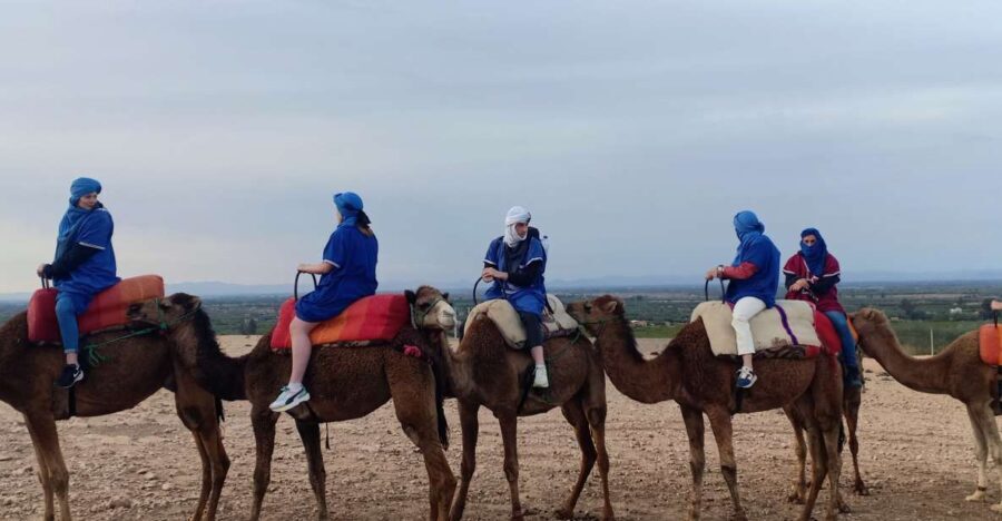 From Marrakesh: Sunset Camel Ride in the Agafay Desert - The Sum Up