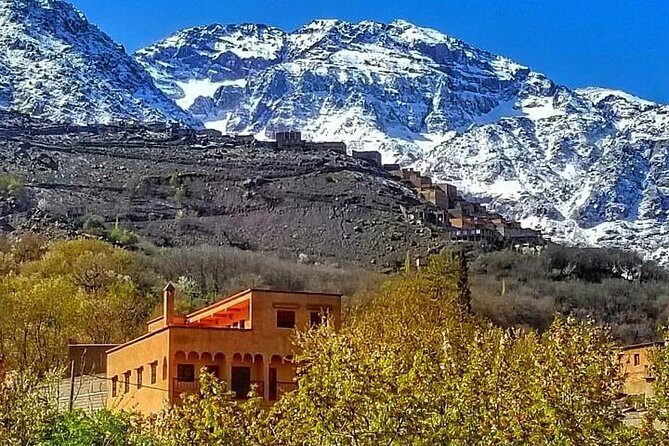 From Marrakesh: Zip-Line & Hike in the Atlas Mountains - What the Reviewers Say