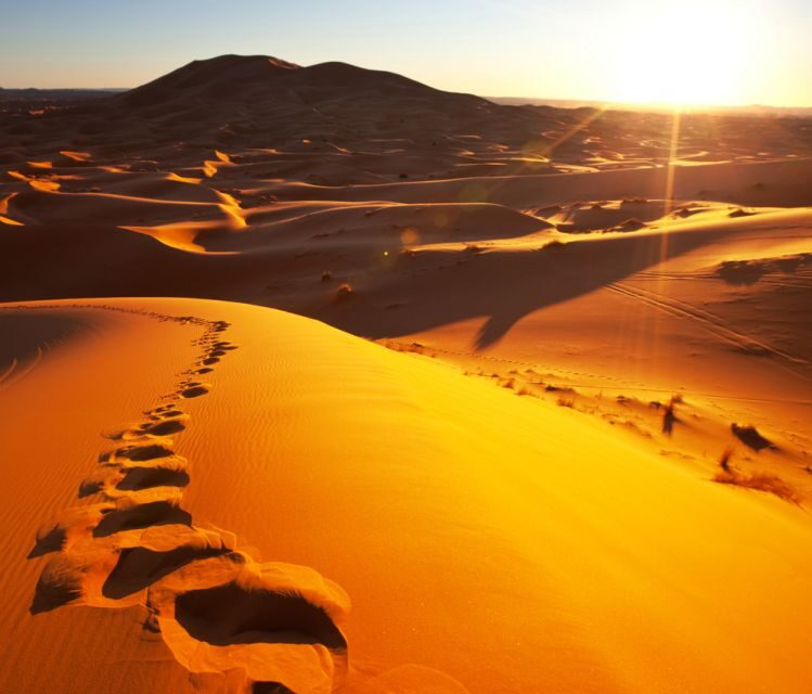 From Merzouga: Overnight Camel Trek over Erg Chebbi Dunes - Final Thoughts