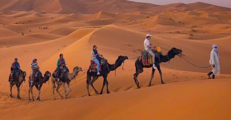 From Merzouga: Sunset Camel Ride & Sandboarding - The Appeal of a Camel Ride in Merzouga
