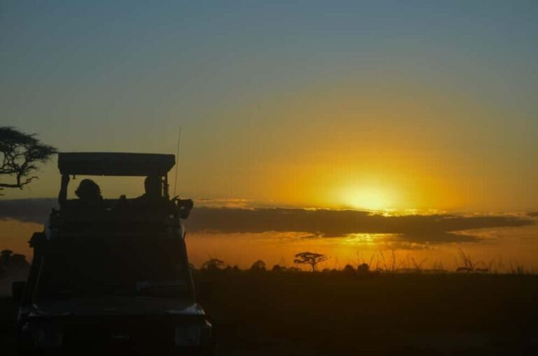 From Mombasa/Diani:5-Day Safari-Taita Hills, Amboseli, and - What to Expect and Why It Matters