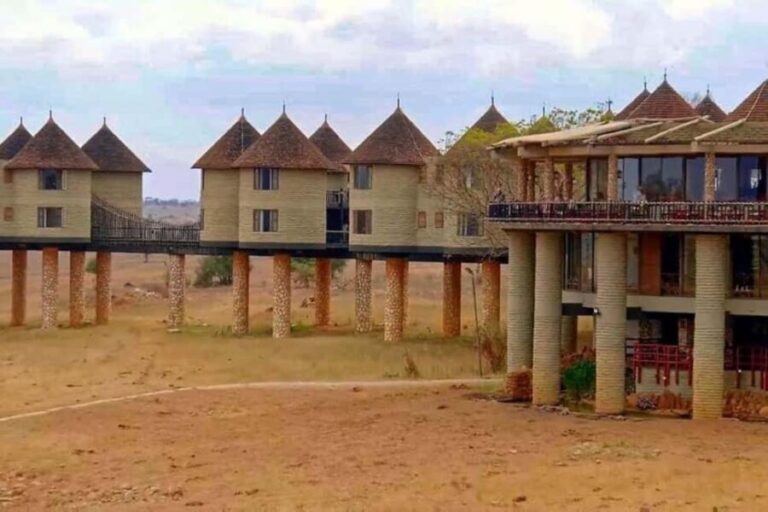 From Mombasa:5 Days Tsavo East,West and Saltlick Lodge safar - What We Love About This Safari