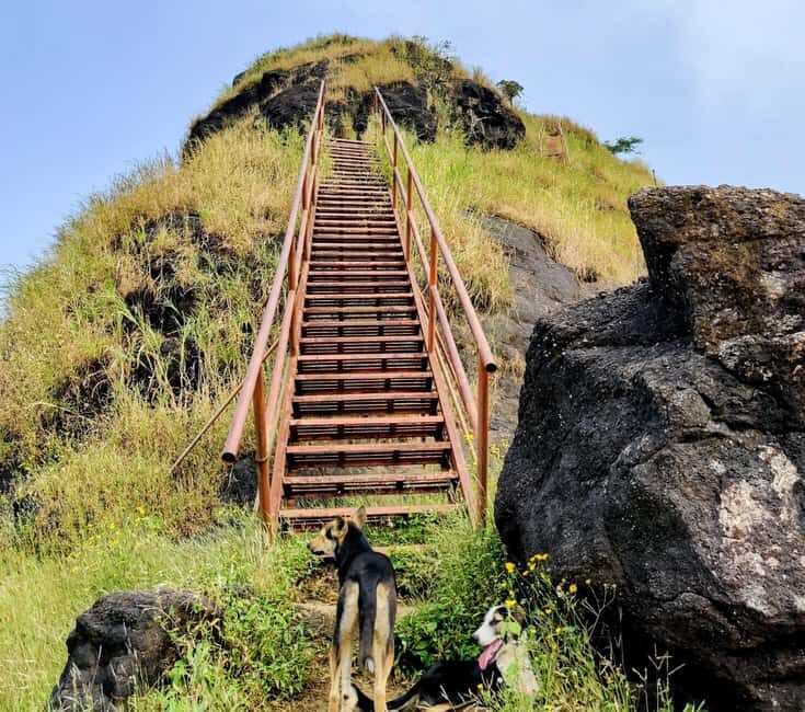 From Mumbai: Sondai Fort Guided Trek with Meals & Transfers - What To Expect on the Sondai Fort Trek