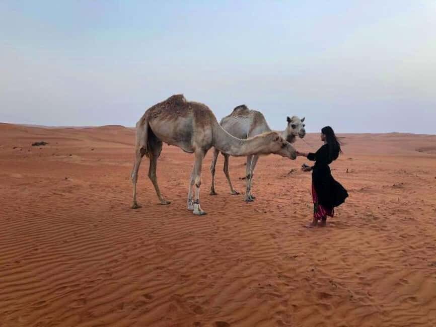 From Muscat: 2-Days, 1 Night in Wahiba Sands - Key Points