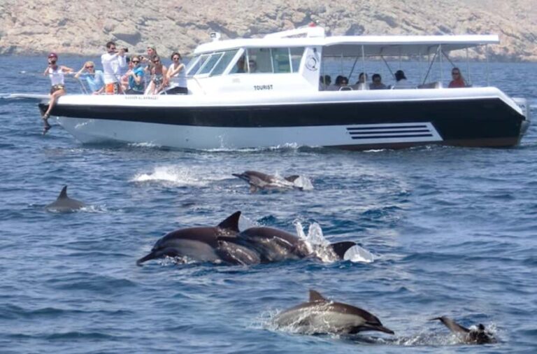 From Muscat: Discover Dolphins Day Trip - Additional Details That Make or Break Your Trip