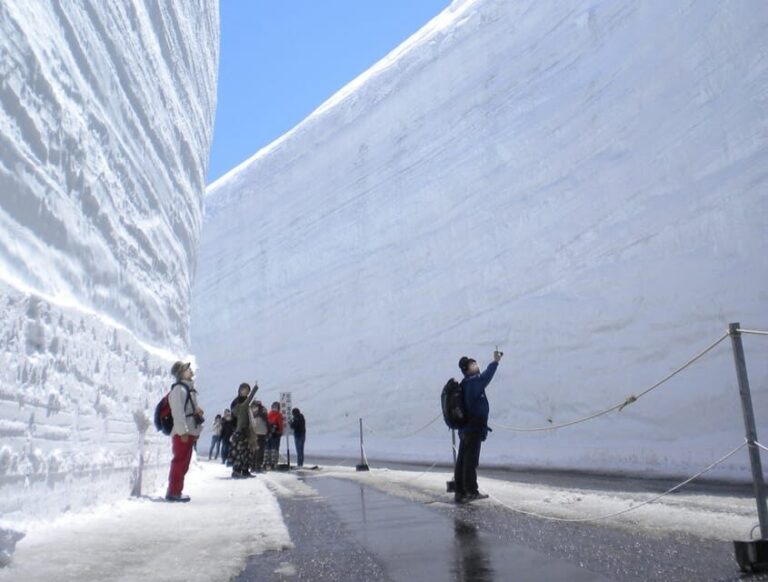 From Nagano: Tateyama-Kurobe Alpine Route - Introduction: What Makes This Tour Worth Your While