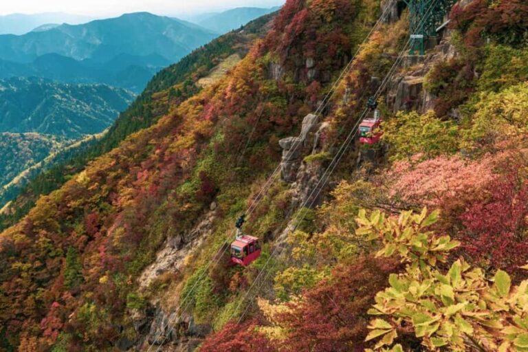 From Nagoya: Yoro Falls & Mt. Gozaisho Scenic Ropeway - The Sum Up