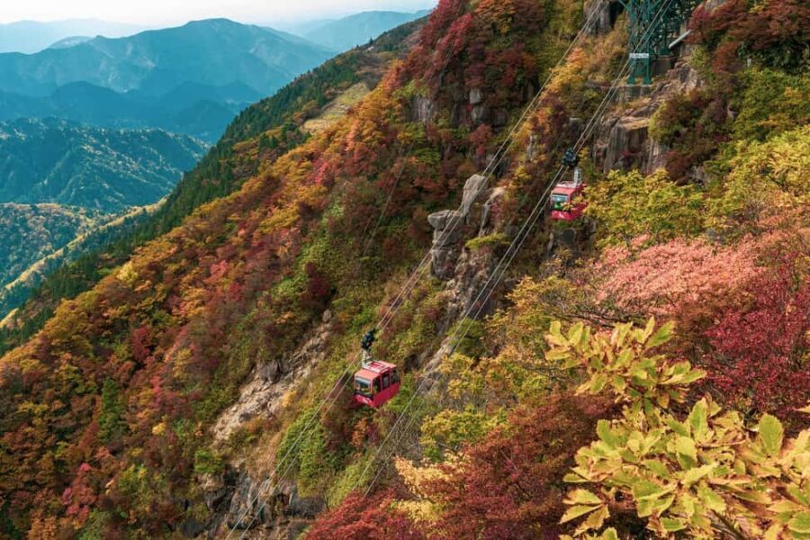 From Nagoya: Yoro Falls & Mt. Gozaisho Scenic Ropeway - The Sum Up