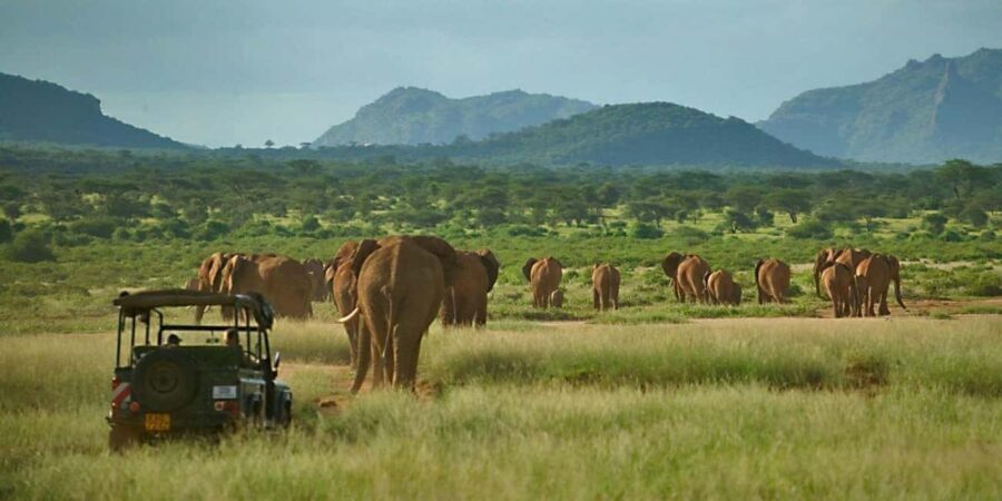 From Nairobi: 3-Day Tour to Samburu National Reserve - FAQ
