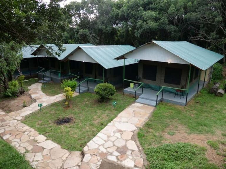 From Nairobi: 3 Days 2 Nights Masai Mara Group Safari - FAQ