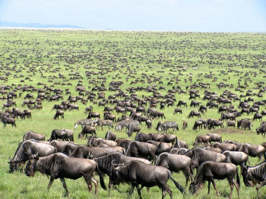 From Nairobi: 3-Days Masai Mara Camping Safari on a 4x4 Jeep - The Optional Upgrades: Making It Even Special