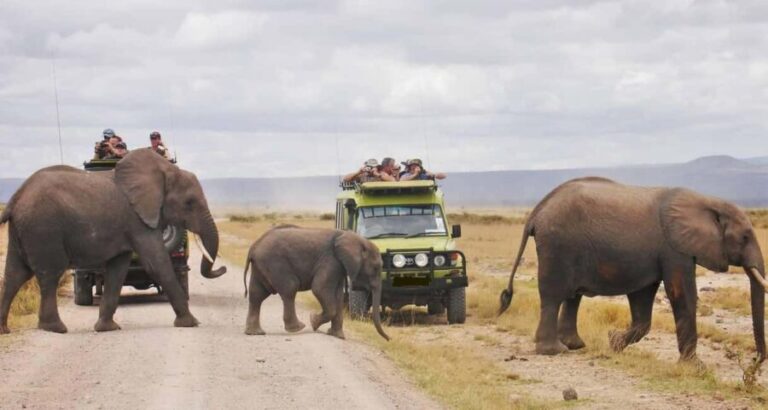 From Nairobi: 4-Day Amboseli and Tsavo Safari with Lodging - What’s Included & What to Consider