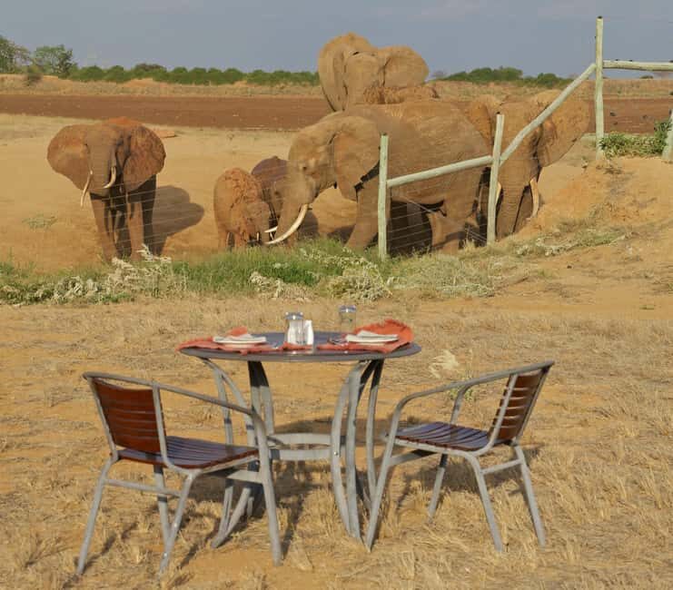 From Nairobi: 4-Day Safari to Amboseli Tsavo West & East - Day 2: Amboseli to Tsavo West National Park