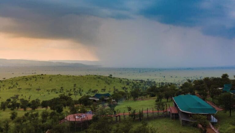 From Nairobi: 5-Day Masai Mara and Naivasha Safari - What Travelers Say