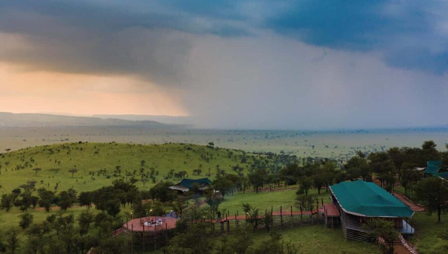 From Nairobi: 5-Day Masai Mara and Naivasha Safari - What Travelers Say