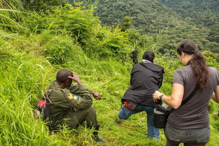 From Nairobi: 7-Day Masai Mara and Bwindi Gorilla Safari - Exploring the Itinerary in Detail