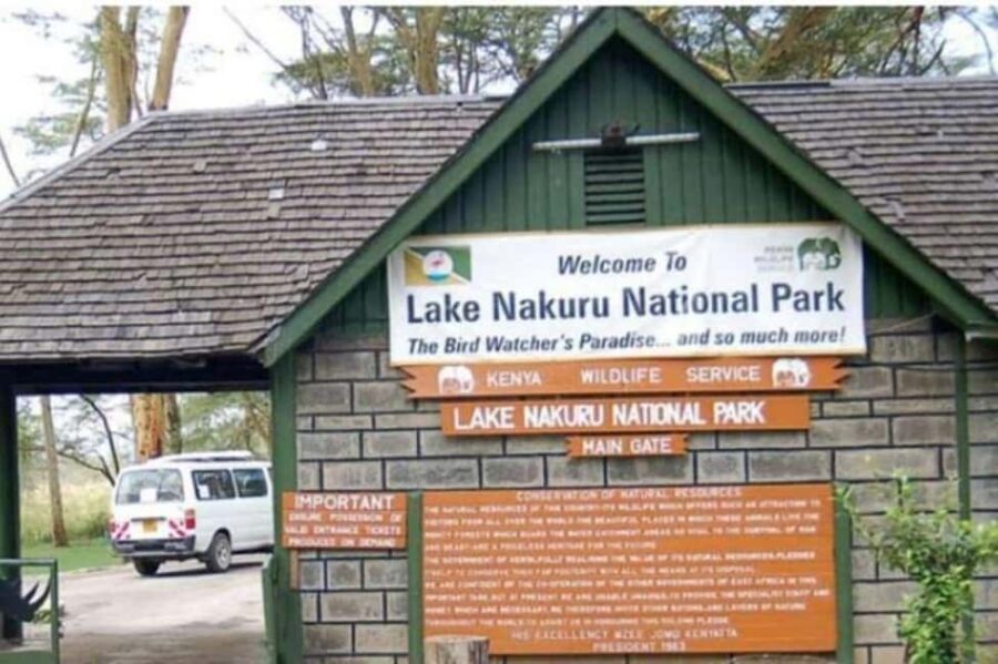 From Nairobi: Lake Nakuru National Park Full-Day Tour - What to Expect on the Day