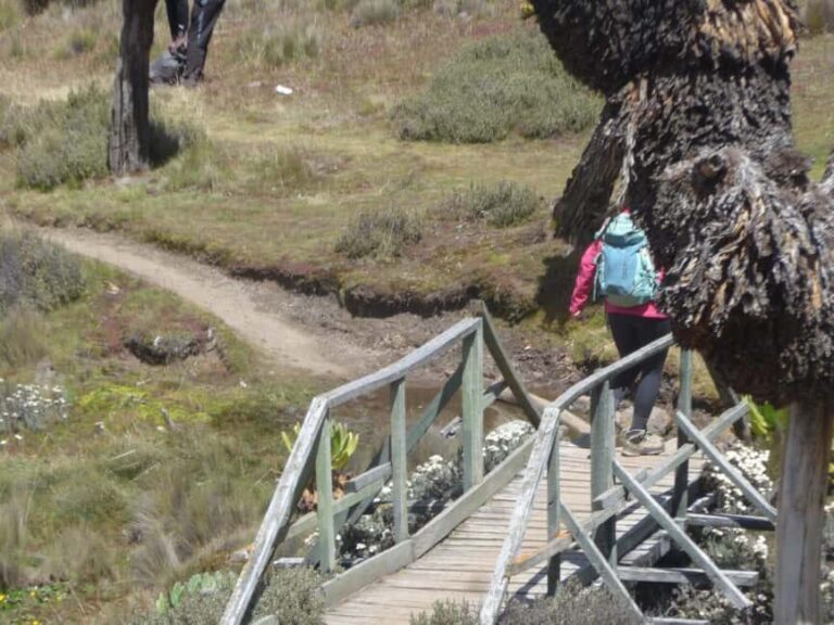 From Nairobi: Mount Kenya 4-Day Trekking Experience - What’s Included and What’s Not?