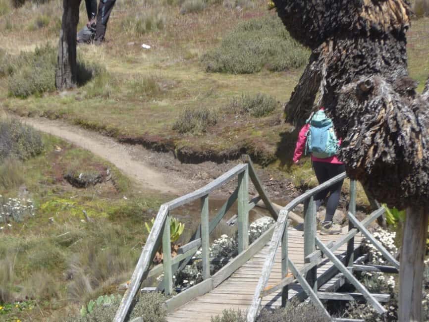 From Nairobi: Mount Kenya 4-Day Trekking Experience - What’s Included and What’s Not?