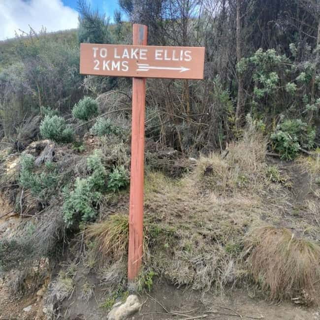 From Nairobi: Mount Kenya Day Hike with Transfers - Real Traveler Insights