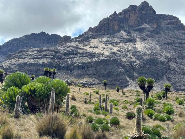 From Nairobi: Mount Kenya Hike Day Trip - Key Points